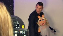Die Muppets - Miss Piggy bei Michalsky-dajFY1r6YiY