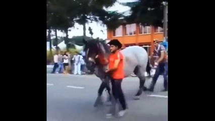 Even the horse keeps his honor hhhhh