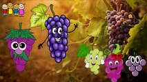 Baby Rhymes   Tomato- Brinjal-Watermelon-GorillawCartoons   Family Rhymes