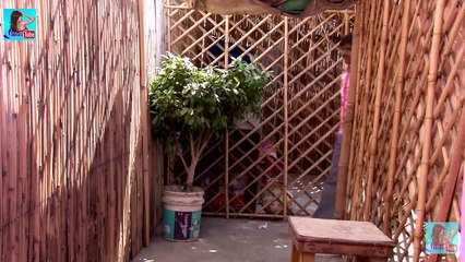 सील Dehati india Video !! Whatsapp F