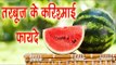तरबूज के करिश्माई फायदे || Watermelon Health Benifits || गर्मियों के फल || Arogya India