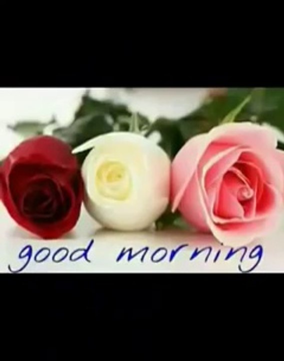 Good morning
