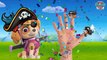 Baby Learning Songs! Paw Patrol Transforms Into Pirates, Finger Fami