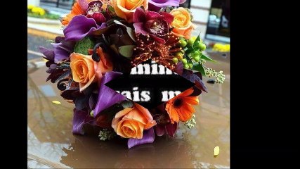 cheb Bilel ( veliza )  ,  الشاب بلال ( فليزة )