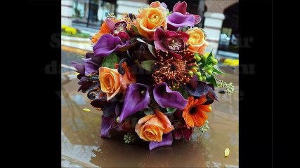 cheb Bilel ( vive nous )  ,  الشاب بلال ( فيف نو )