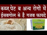 कब्ज ,पेट व अन्य रोगों में ईसबगोल के गजब फायदे | Health Benefits Of Isabgol In Hindi