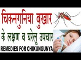 चिकनगुनिया बुखार के लक्षण व घरेलू उपचार | How To Cure Chikungunya In Hindi | Chikungunya ka ilaj