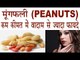 मूंगफली के कुछ दाने खाएं मिलेंगे  20 हैरान कर देने वाले फायदे | Health Benefits Of Peanuts In HIndi