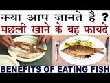 Fish Food से मिलते हैं बहुत हैरान कर देने वाले फायदे | Benefits Of Fish Food In Hindi