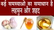लहसुन और शहद साथ खाने से होते हैं गजब फायदे | Health Benefits Of Garlic And Honey In Hindi