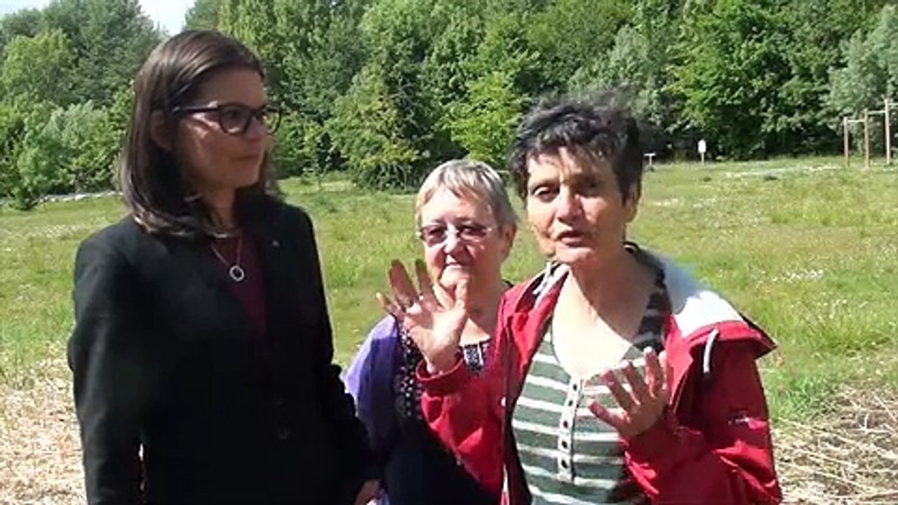 Législatives 2017 - Transport ferroviaire : échanges entre Caroline Brebant, Hélène Masure et Christine Chevalier