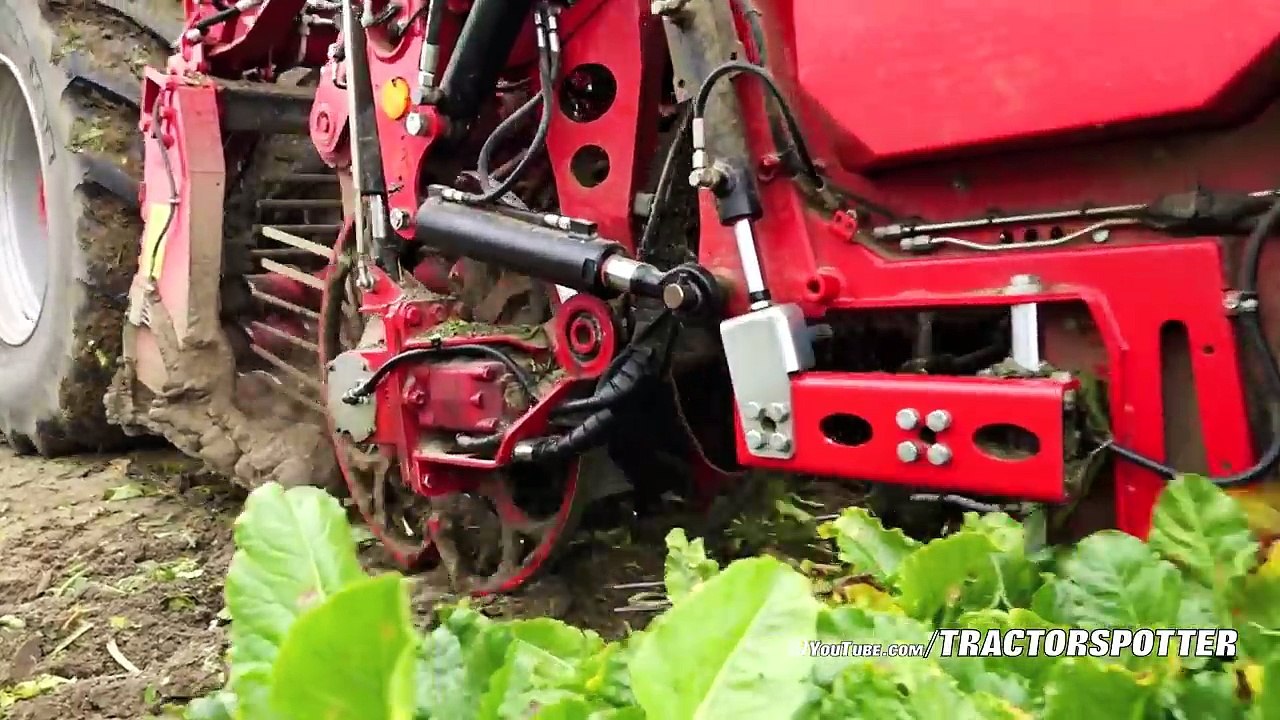 Chasing Sugar Beet   Holmer T4-30 bunker harvester & Grimme Beet Chaser   Breure Klaaswaal