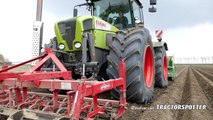 Planting potatoes using a 380 HP Claas Xerion 3800 & Miedema CP42 cup planter   NIVU Achthuizen