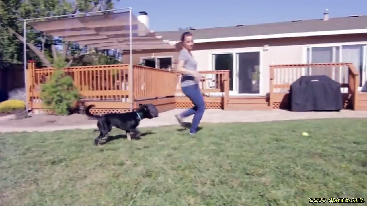 5 Amazing Inventions YOU SHOULD SEE