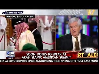 Newt Gingrich says Seth Rich was assassinated