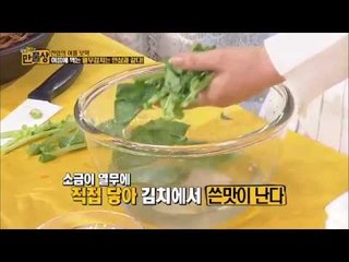 식품 명인이 만드는 열무절이기 [만물상 68회]