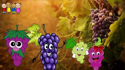 Baby Rhymes Watermelon-Gorilla Finger Family Cartoons   Family