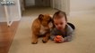 Cute Dogs and Babies Crawe babies