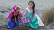 FROZEN ELSA and Anna GIANT TOY SURPRISE EGG HUNT & TREASURE HUNT at the Beach! Twozies-fq7
