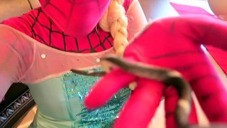 Spiderman vs Frozen vs Joker Epic Snake Prank! w_ Pink Spidergirl - Funny Superheroes-ucjead