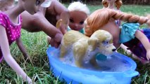 Muddy Puppy! ELSA & ANNA toddlers give their Puppy a Bath - Soap Bubbles Foam Dirty Play in Mud-ATIx