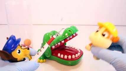 Paw Patrol Games Crocodile Dentist Challenge Game with Surprise Toys Kids Videos-as4gF0V-