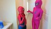 Spiderman vs Joker vs Frozen Elsa Pink Spidergirl - GIANT Donut! w_ Mermaid, Nemo - Fun Superheroes-llX