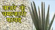 बाजरे के चमत्कारी फायदे || Health Benefits of Millet || Health Tips By Shristi