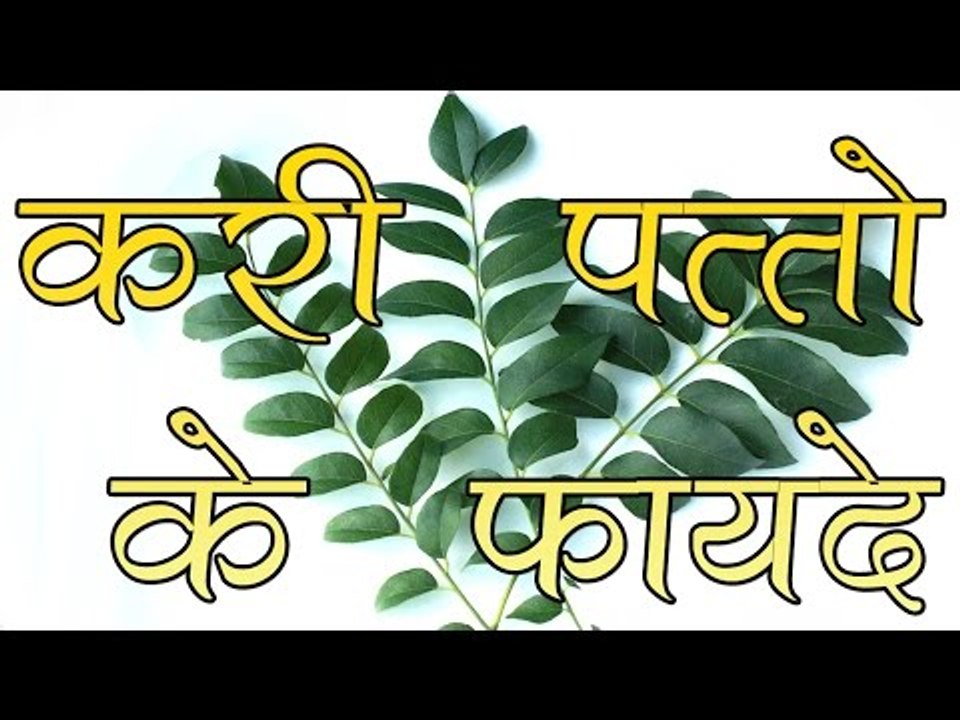 करी पत्तों के फायदे ## Health Benefits Of Curry Leaves ## Heath Tips In Hindi