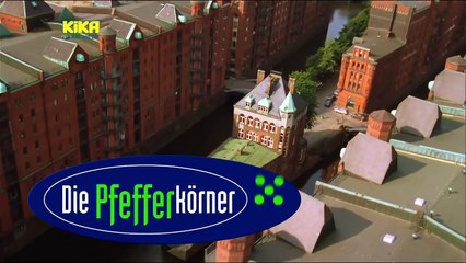 Die Pfefferkörner 128. In die Tonne | Mehr auf KiKA.de