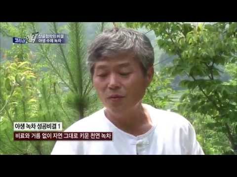 자연 속에서 찾은 대박의 비밀 [코리아헌터81회]