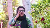 Bulbulay Episode 454 Full Super Hit Comedy Drama on ARY Digital