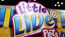 Little Live Pets TOY FAIR 2016 Tweet Talking Bird, Lil Frog, Turtle, Mouse, Snuggles Puppy-aPADY