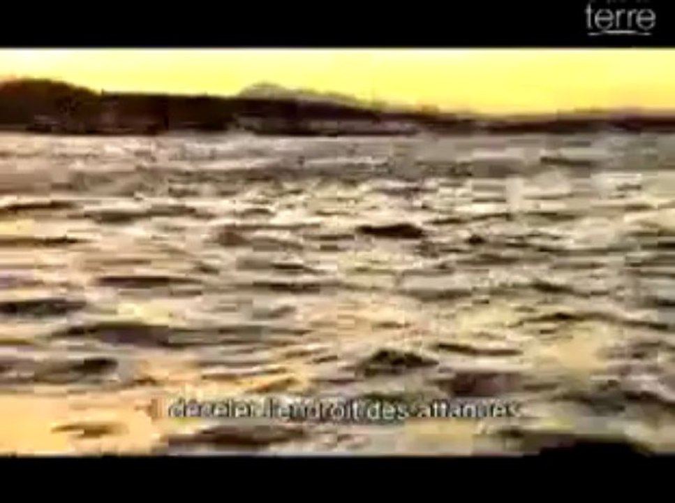 Un jour sur Terre - episode3