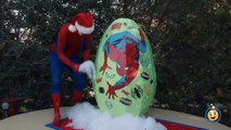 SPIDERMAN GIANT EGG SURPRISE TOYS for Kids w_ Spidey IRL Bubbles Gross Slime Christmas Toys Unboxing-8Zjug_A