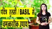 तुलसी के स्वास्थवर्धक व औषधीय गुण | Health Benefits Of Basil/Tulsi | Magical and Holy Tulsi | Hindi