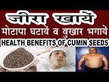 ज़ीरा है मोटापे और बुखार का दुश्मन | Benefits Of Cumin For Quick Weight Loss And Fever in Hindi