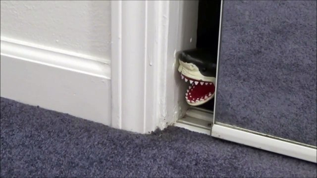 Feeding My Pet Shark Shopkins Season 2 'Toy Freaks Love Shark Week & Sharknado'-vR8