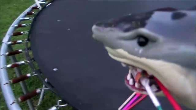 Sharks vs Bottle Rockets 'Toy Shark Lighting Fireworks'-3N1