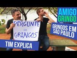 PERGUNTE AOS GRINGOS (em São Paulo) ft Tim Explica
