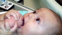 Cute Babies Laughing at Dogs Compilation