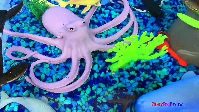 ANIMAL PLANET MEGA OCEAN TUB SHARKS DOLPHINS TURTLES SEAHORSE STARFISH OCTOPUS WHALE CRAB - UNBOXING-xw7X-zcYX