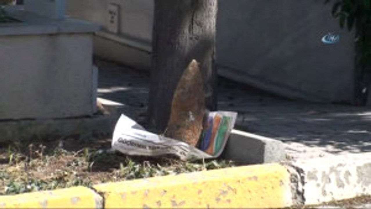 Pendik'te Top Mermisi Bulundu