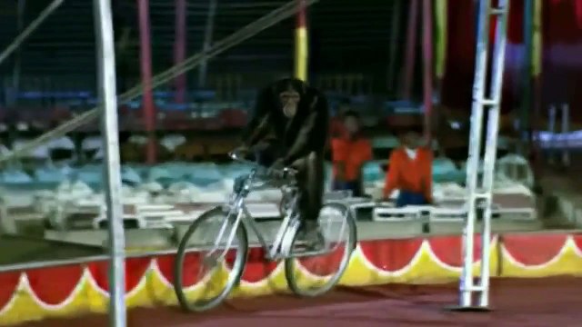 Aye Bhay jara Dekh Ke Chalo Mera Naam Joker