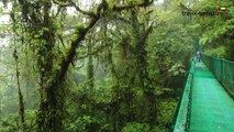 Costa Rica - Naturerlebnis mit travel-to-nature