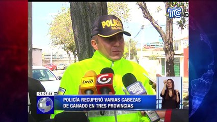 Recuperan ganado robado en operativos en tres provincias