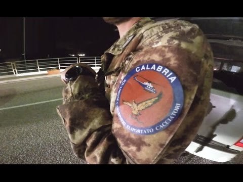 Lamezia (CZ) - 'Ndrangheta, colpo alla cosca Cerra-Torcasio-Gualtieri: 52 arresti (23.05.17)