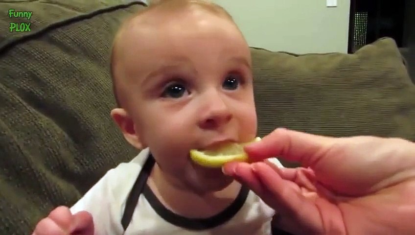 Babies Eating Lemons for the First Time Compilation 20