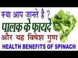 पालक (Spinach) के स्वास्थ्यवर्धक फायदे व विषेश गुण | Health Benefits Of Spinach In Hindi
