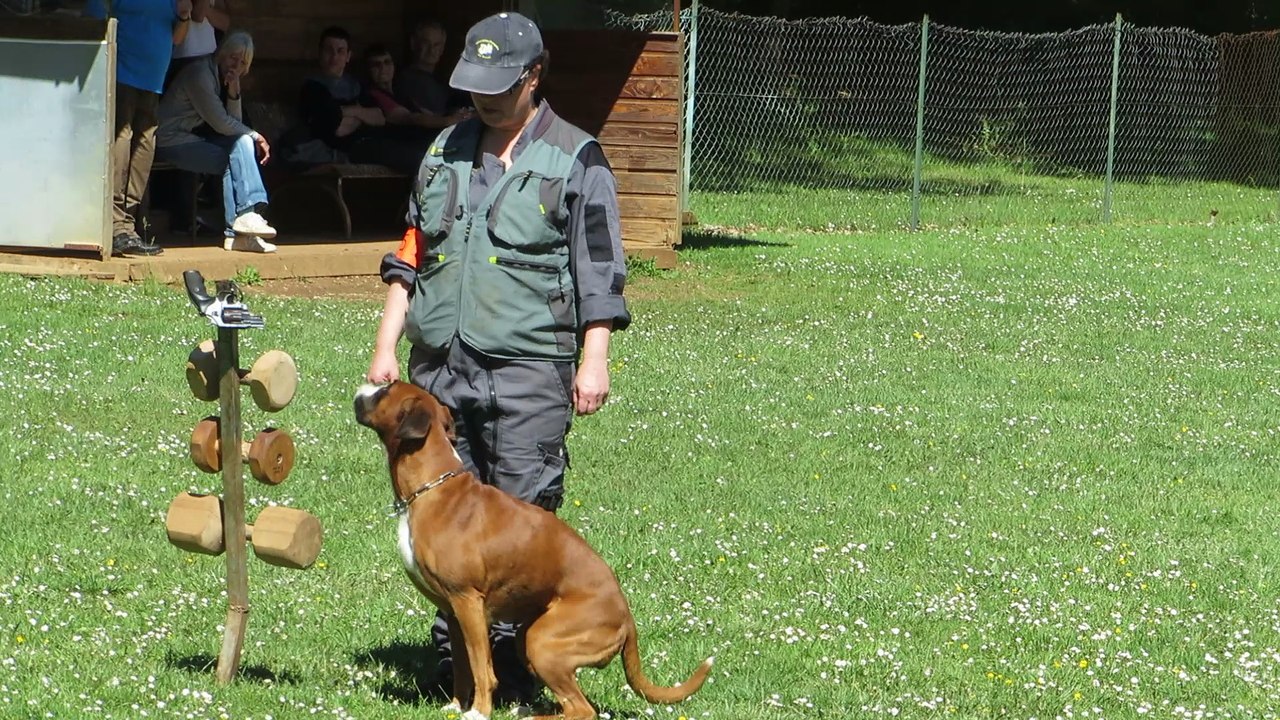 Geisha, RCI2 / partie B ..., 2017-05-21